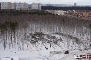 Вид на берёзовую рощу между Краснолесья – Мехренцева – Вонсовского, куда должен был переехать УрГАУ.
Вид на берёзовую рощу между Краснолесья – Мехренцева – Вонсовского, куда должен был переехать УрГАУ.
