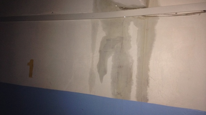 Сильный ливень в Тюмени затопил девятиэтажный дом: в квартирах прямо с потолка бежала вода