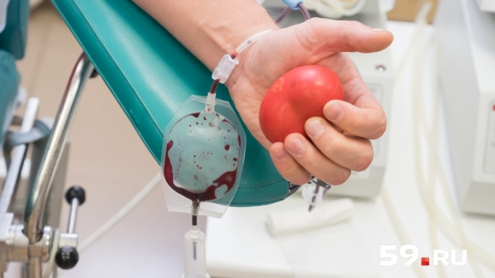 В марте в Прикамье пройдут «Дни донора»: публикуем график работы выездных бригад забора крови