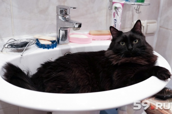 В Чайковском отключили водоснабжение в жилых домах В Чайковском отключили водоснабжение в жилых домах