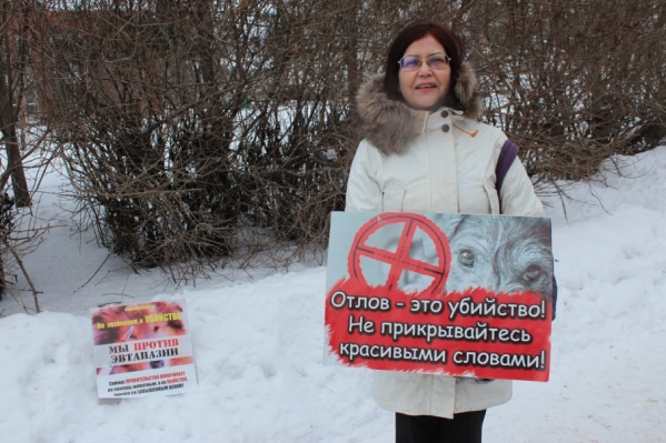 Татьяна Халина уже много лет занимается проблемами бездомных животных Татьяна Халина уже много лет занимается проблемами бездомных животных