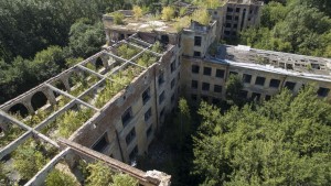Кровли у больницы нет уже не только на прогоревших участках, а на большинстве корпусов здания: на последнем этаже вовсю растут деревья.
Кровли у больницы нет уже не только на прогоревших участках, а на большинстве корпусов здания: на последнем этаже вовсю растут деревья.