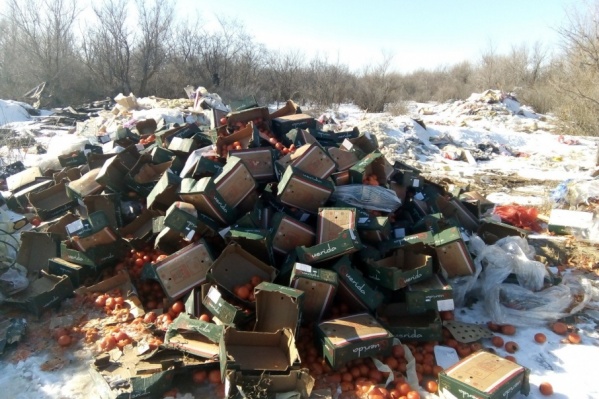 Волгоградцы пожаловались на новый склад овощей и фруктов Волгоградцы пожаловались на новый склад овощей и фруктов