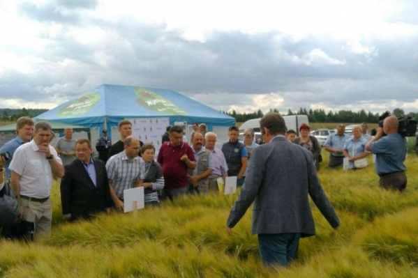 Пивное совещание прошло в поле Пивное совещание прошло в поле