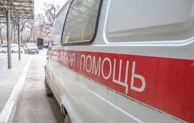В Тольятти четырехлетняя девочка съела домашний цветок и сожгла гортань