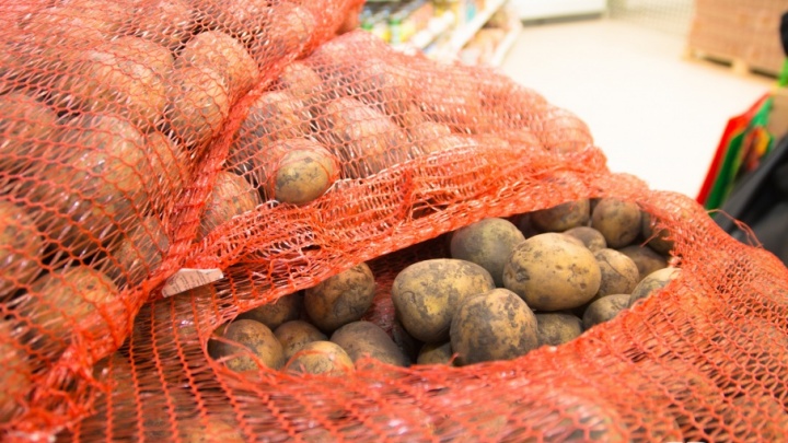Самарские заключенные в колониях засеют картофелем 60 гектаров земли