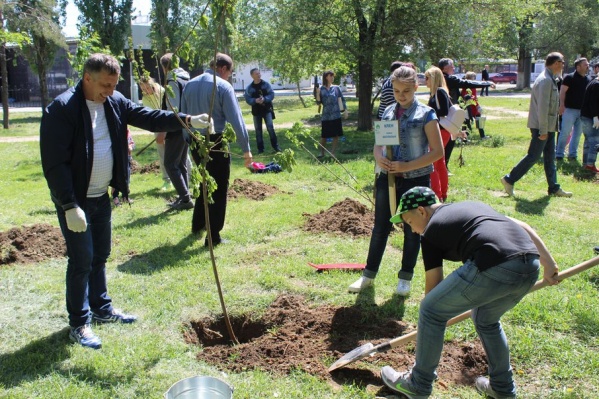 Конкурс проектов по озеленению и благоустройству городов продолжается Конкурс проектов по озеленению и благоустройству городов продолжается