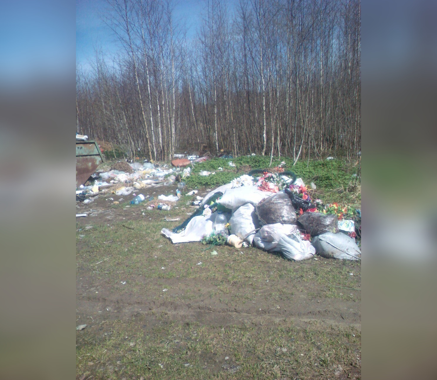 Похоже, что свалку устроили сами местные жители Похоже, что свалку устроили сами местные жители