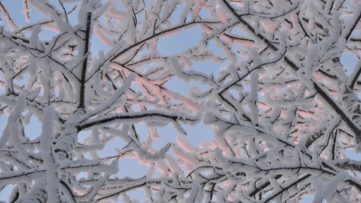 Погода в Поморье: северян ожидает снегопад и туман