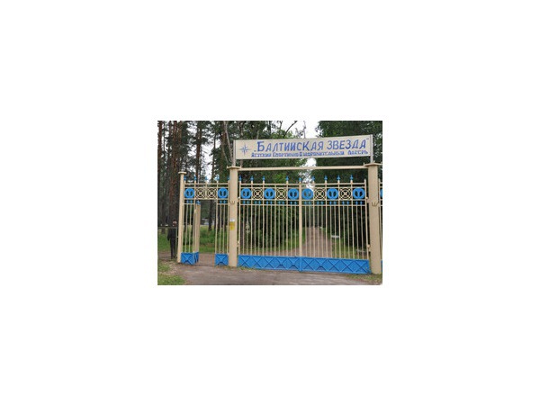 http://www.spbdeti.org