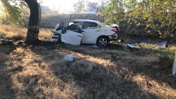 В Сальском районе водитель Toyota врезался в дерево: погибли двое мужчин
