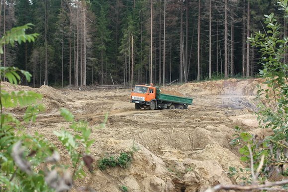 Вот так сегодня выглядит курган. Фото Ивана Стасюка, karpovka.net