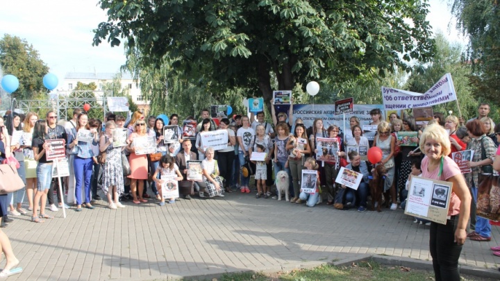 «Они тоже хотят жить»: в Самаре прошел митинг против жестокого обращения с животными