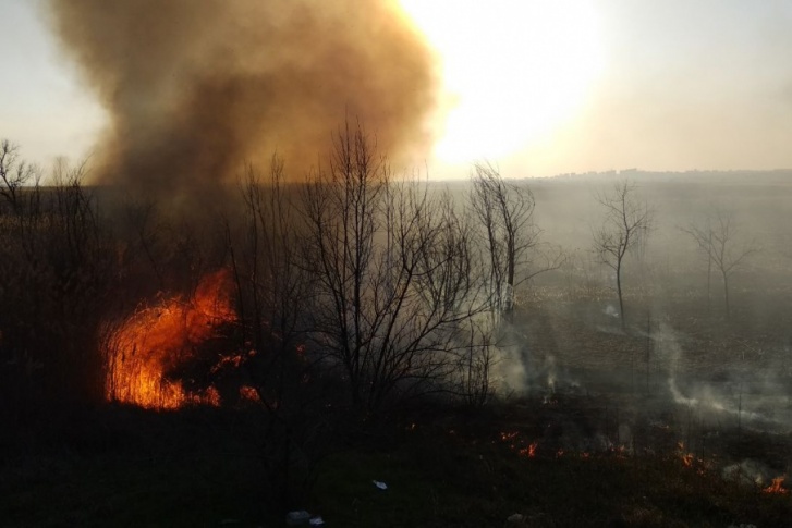 Ростовчан просят не выбрасывать непотушенные сигареты и не поджигать сухую траву — это может привести к крупным пожарам