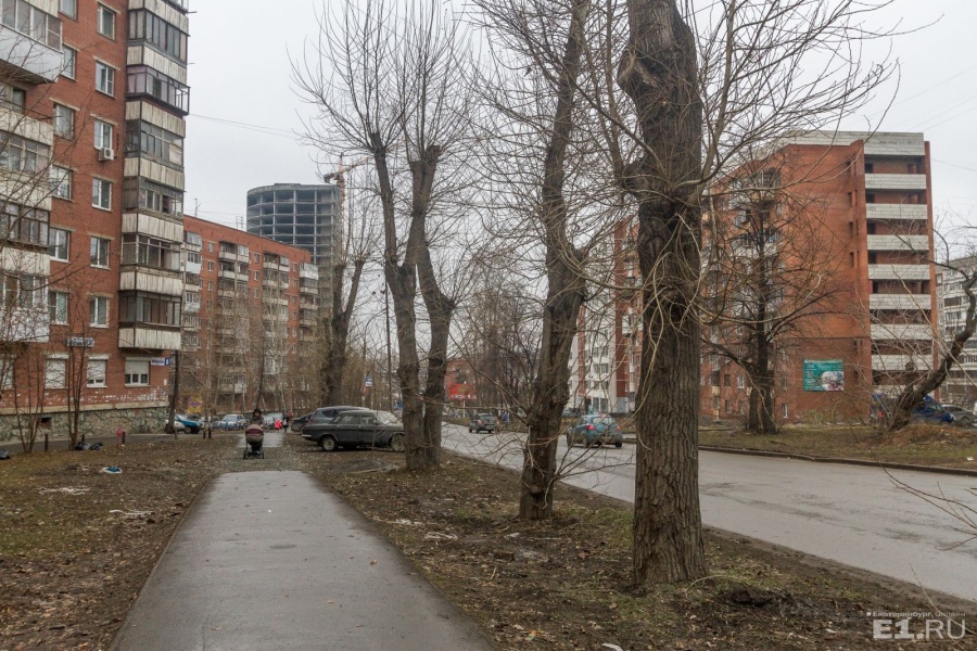 В конце улицы виднеются стройки.
В конце улицы виднеются стройки.