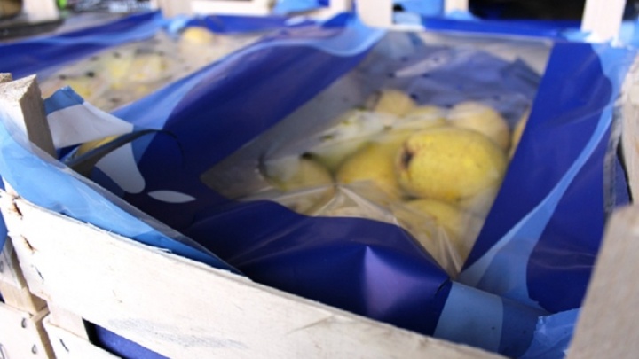 На полигоне в Прикамье раздавили 394 кг польских груш