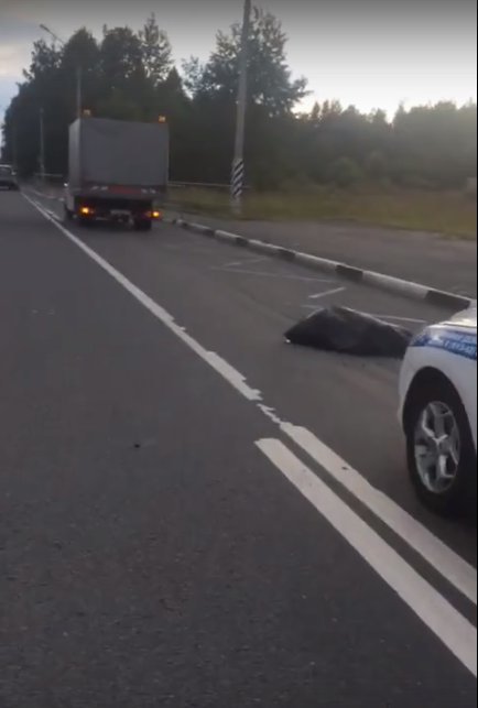 Кадр из видео УГИБДД по Санкт-Петербургу и Ленинградской области
