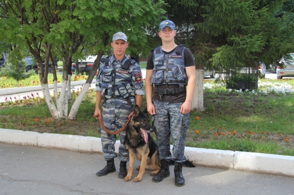 Кинологи и овчарка Додж вывели из леса потерявшуюся тоболячку Кинологи и овчарка Додж вывели из леса потерявшуюся тоболячку
