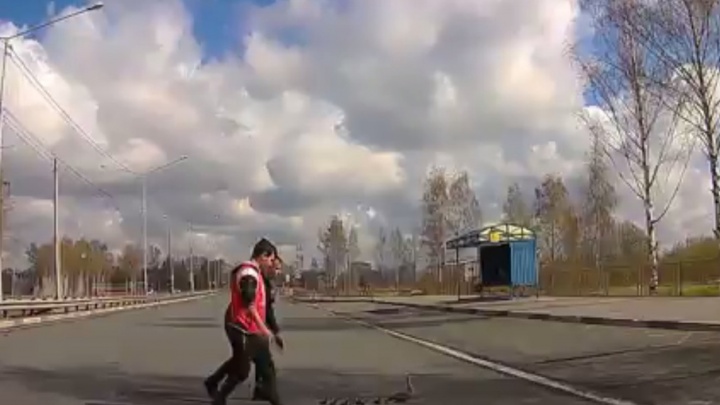 Ярославцы перевели через дорогу семью уточек: видео