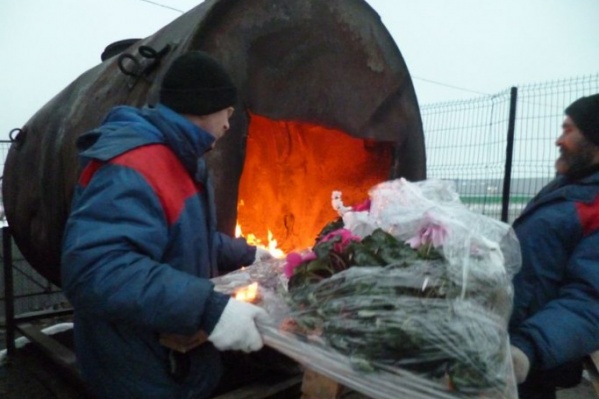 Зараженные растения сожгли Зараженные растения сожгли