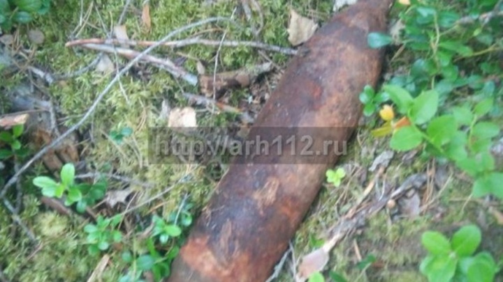 Два артиллерийских снаряда нашли местные жители в Виноградовском районе