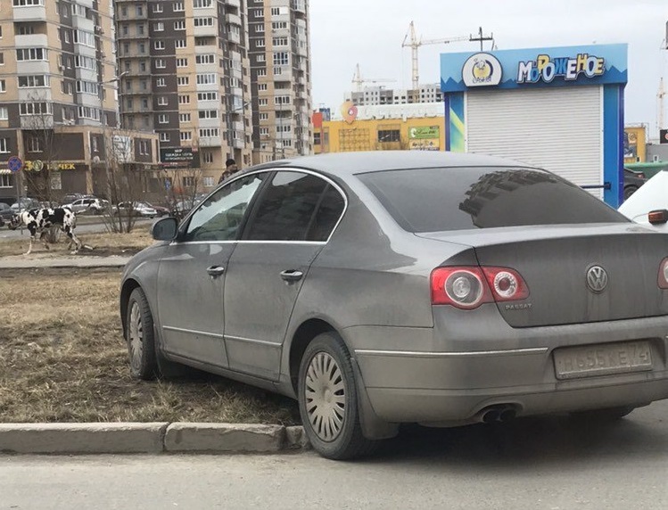 Возле ТЦ «Остров» Возле ТЦ «Остров»