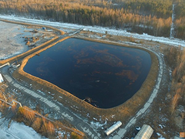 Полигон "Красный бор"/Архив/"Фонтанка.ру"