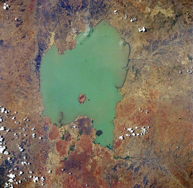 озеро Тана//Science and Analysis Laboratory, NASA-Johnson Space Center, The Gateway to Astronaut Photography of Earth: STS037-84-3
