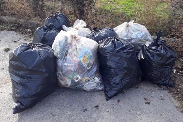 За три часа горожане загрузили целую грузовую машину За три часа горожане загрузили целую грузовую машину