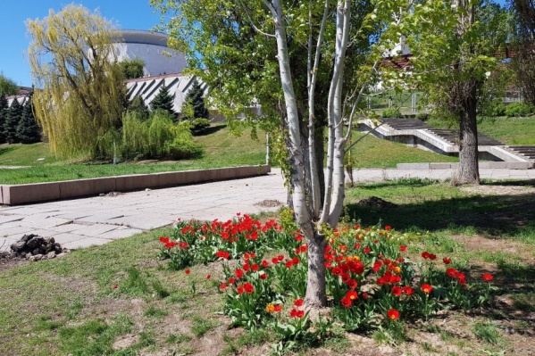 По словам мэрии, сейчас в городе цветет 30 тысяч цветов По словам мэрии, сейчас в городе цветет 30 тысяч цветов