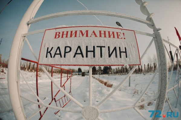 Карантин в Шорохово сняли еще 20 декабря. Но свинокомплекс не сможет работать еще как минимум год Карантин в Шорохово сняли еще 20 декабря. Но свинокомплекс не сможет работать еще как минимум год