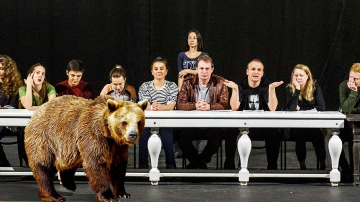 Волковский театр ищет советника укротителя медведей