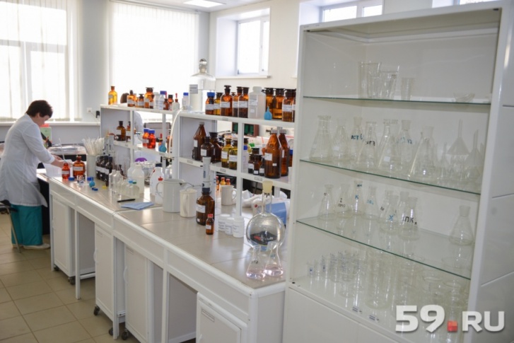 В Пермском крае заработали лаборатории по исследованию клещей В Пермском крае заработали лаборатории по исследованию клещей