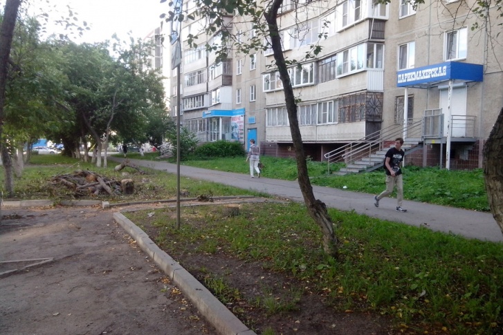 Жители района предположили, что деревья вырубили ради парковки Жители района предположили, что деревья вырубили ради парковки