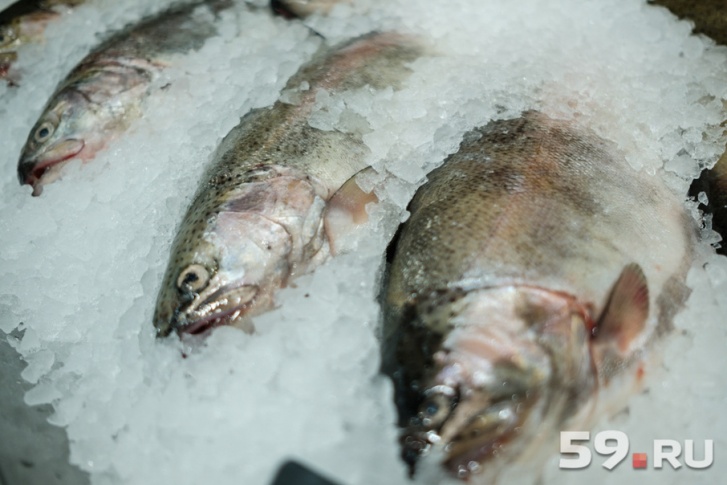 Специалисты нашли много нарушений на предприятиях, торгующих рыбой