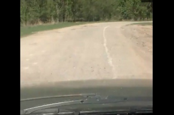 Разметка виляет с одного края проезжей части к другой Разметка виляет с одного края проезжей части к другой