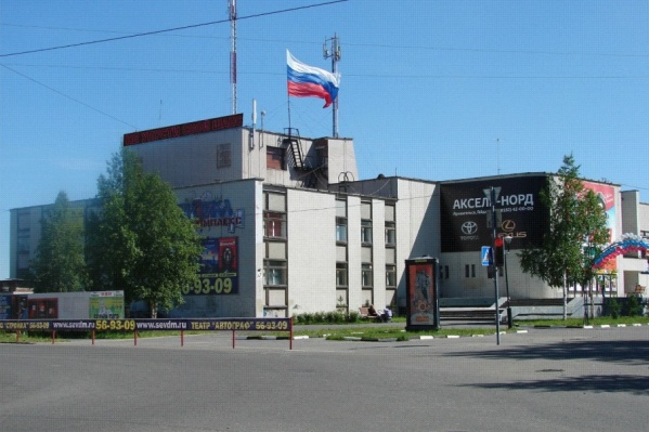 Дворец молодежи возьмет новые деревья аллеи под свой контроль Дворец молодежи возьмет новые деревья аллеи под свой контроль