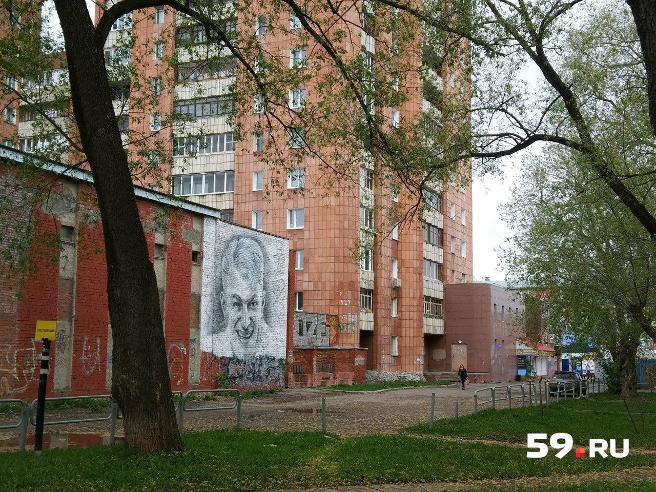 Портрет появился на стене, окружающей жилой комплекс, на улице Крупской