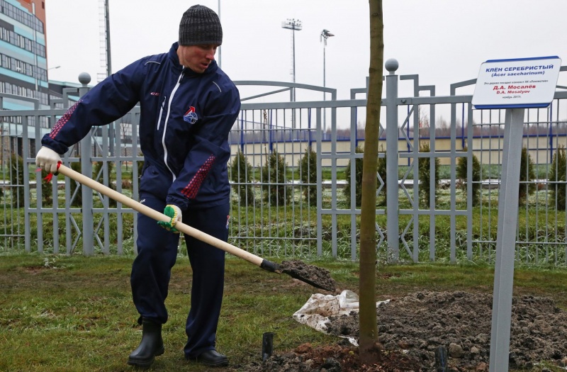 Денис Мосалёв тоже посадил дерево под своей фамилией