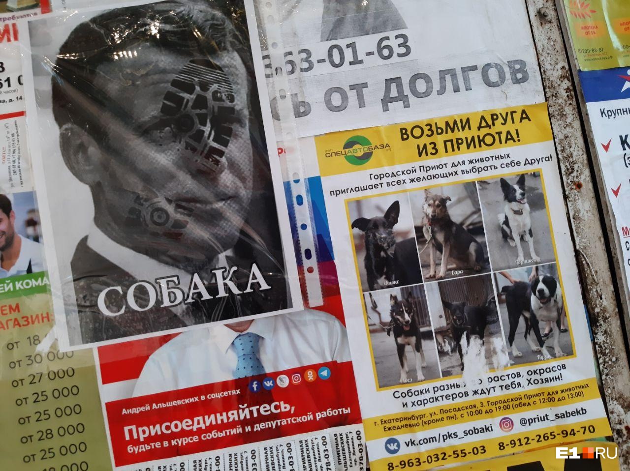 «Где Макрон и где Екатеринбург»: мусульмане — об оскорбительных листовках против президента Франции
