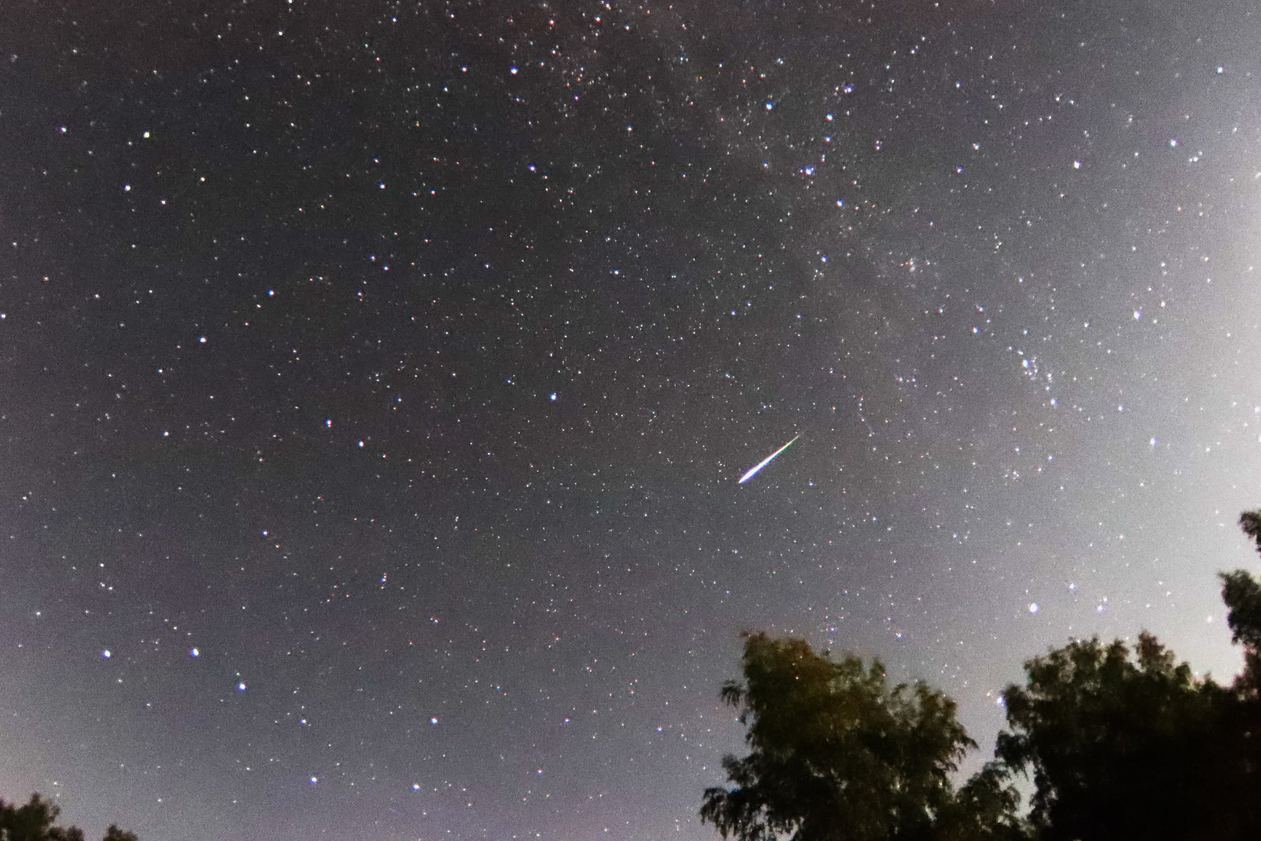 Загадываем желания: появились снимки потока метеоров в омском небе