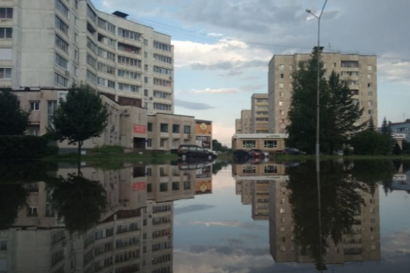 Все произошло в многоквартирном доме в Зеленогорске Все произошло в многоквартирном доме в Зеленогорске