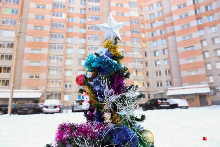 По прогнозам синоптиков, на Новый год Ярославль накроет волна тепла