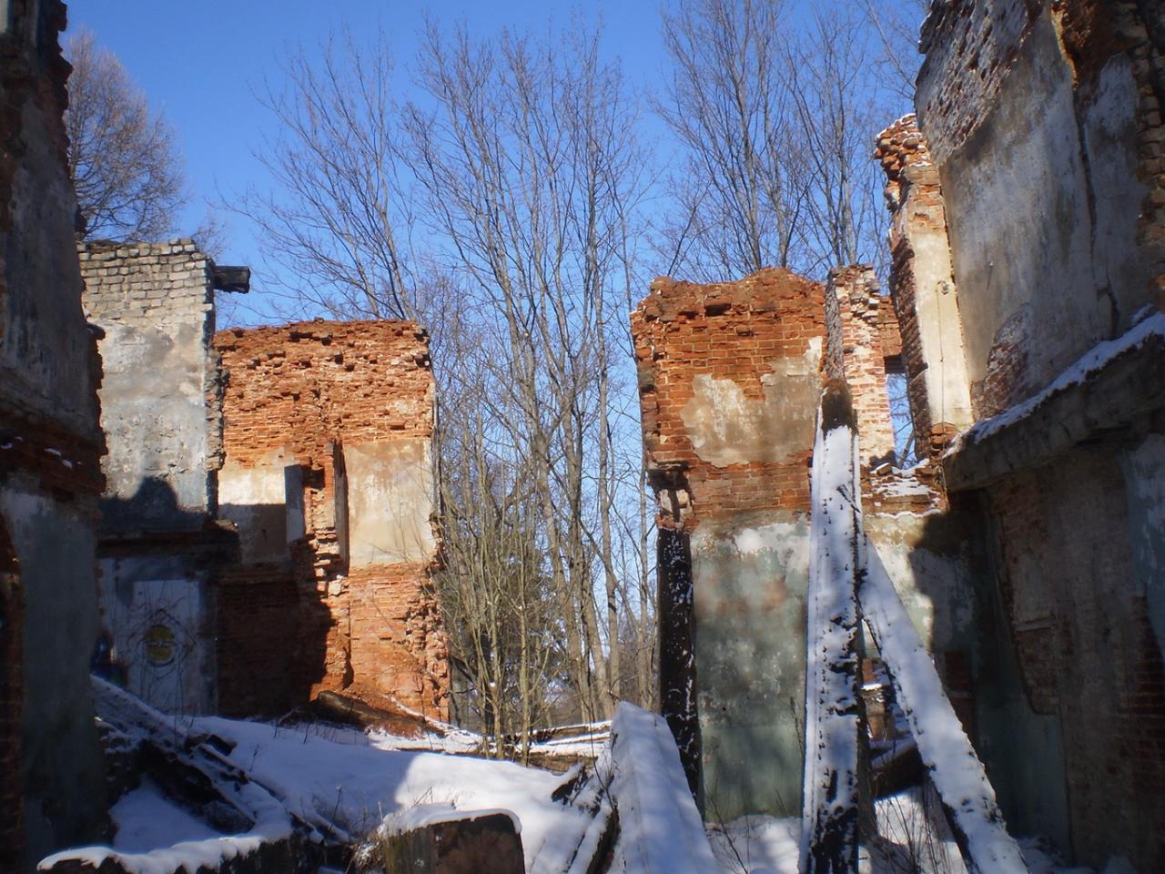В интернете выставили на продажу руины усадьбы Зубовых «Отрада» в Ломоносове
