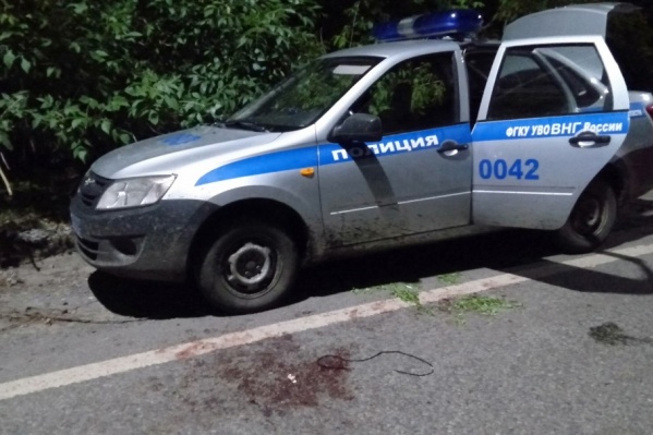 Нападение произошло в прошлом году в Тюмени Нападение произошло в прошлом году в Тюмени