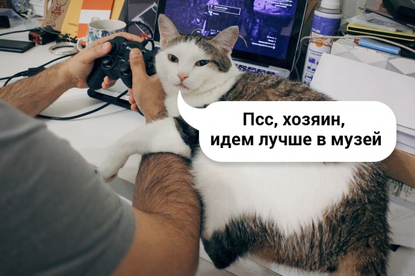 Интернет — это вам не игрушки! Интернет — это вам не игрушки!