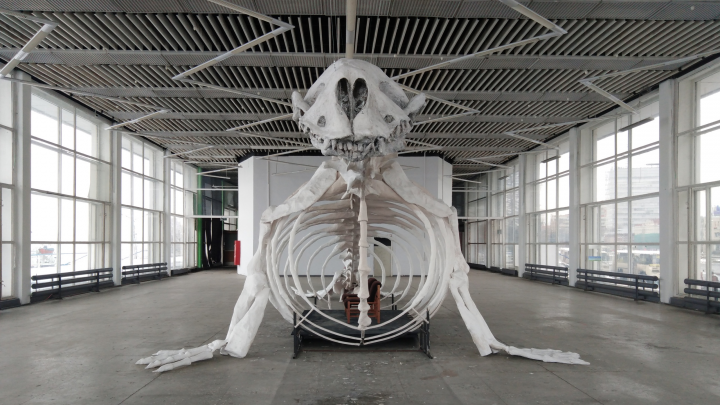 Огромный скелет и лицо в раковине: таким вы еще не видели изнутри МРВ в Архангельске