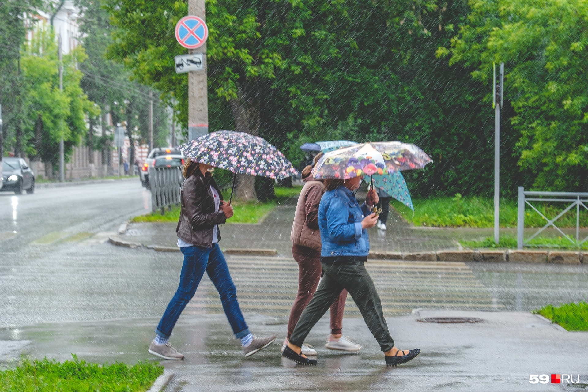 Неделя будет дождливо. Прохладно и дождливо. Дождливая Пермь. Лето похолодание. Август дождь.
