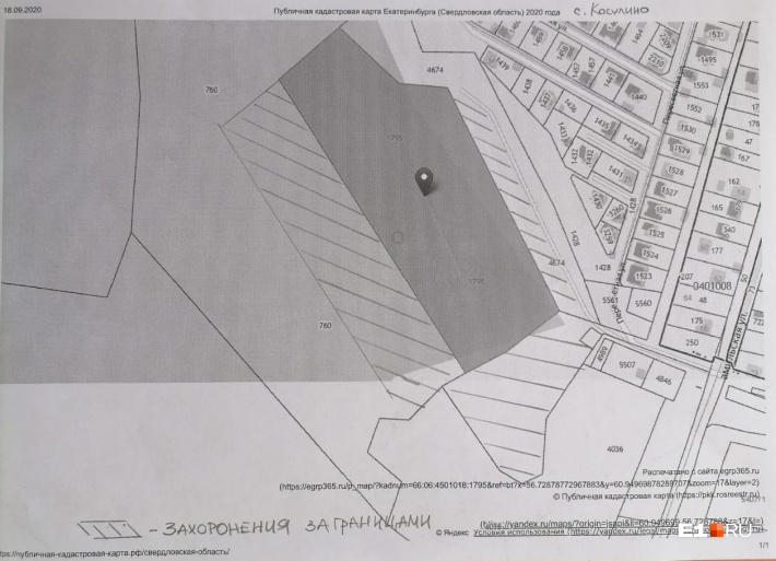 На распечатке кадастровой карты заштрихованный участок — территория с могилами, размещенными за пределами кладбища в Косулино