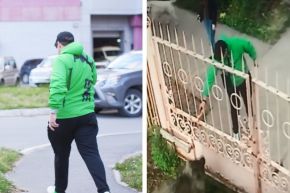 Парень, напавший с пистолетом на архангелогородца, похож на человека, облившего собаку красящей жидкостью Парень, напавший с пистолетом на архангелогородца, похож на человека, облившего собаку красящей жидкостью